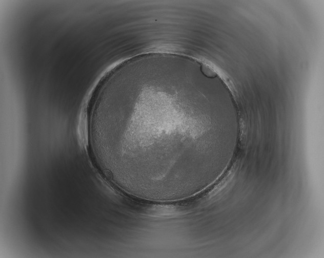 X0000102411123200808081319