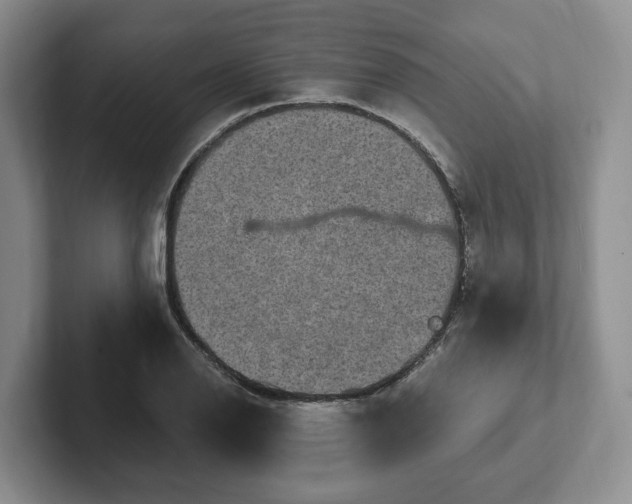 X0000102411126200808081319