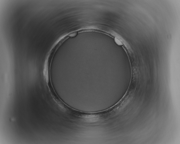 X0000102411127200808081319