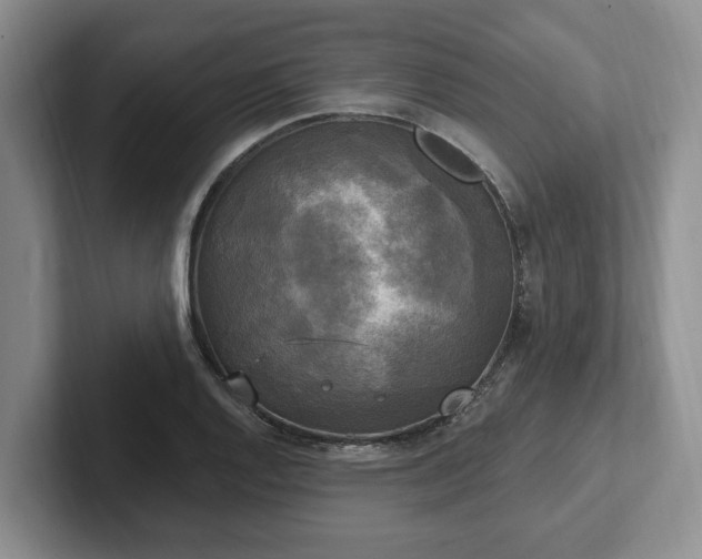 X0000102411128200808081319