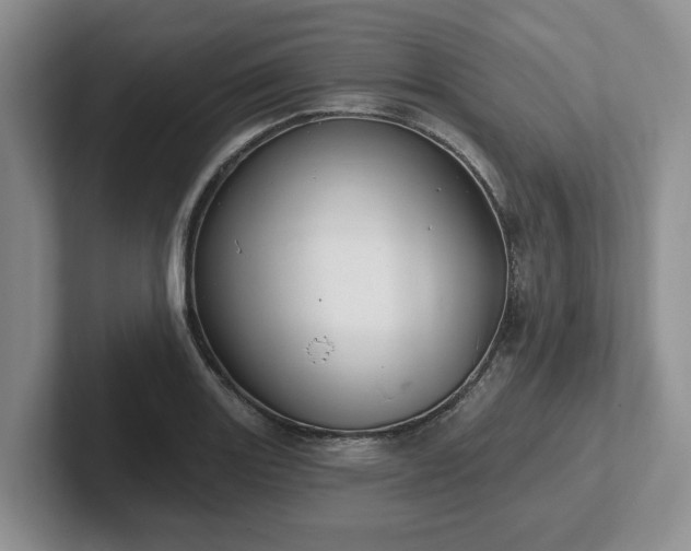 X0000102411131200808081319