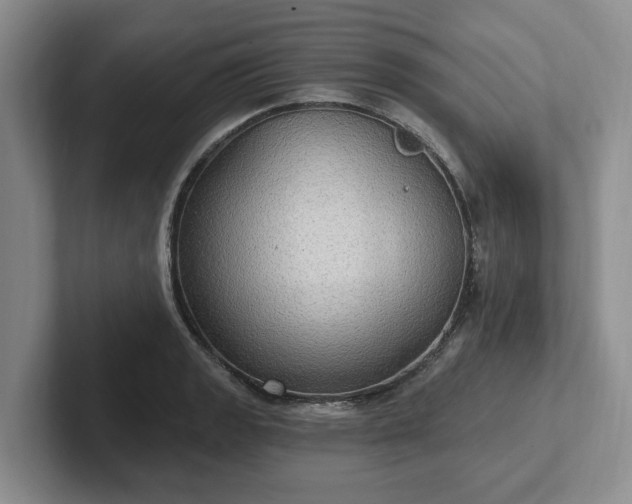 X0000102411133200808081319