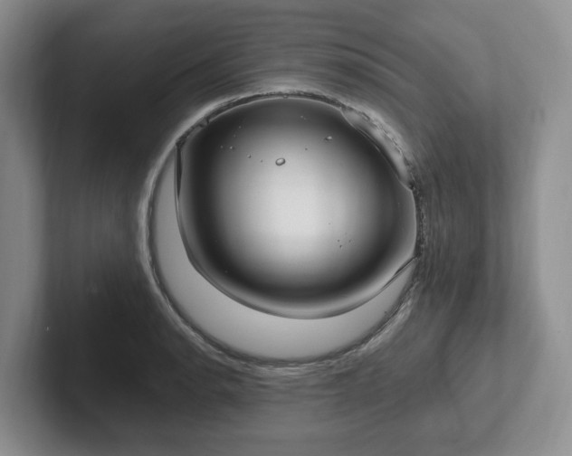 X0000102411134200808081319