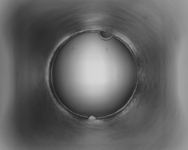 X0000102411135200808081319