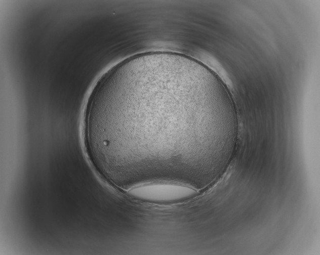 X0000102411136200808081319