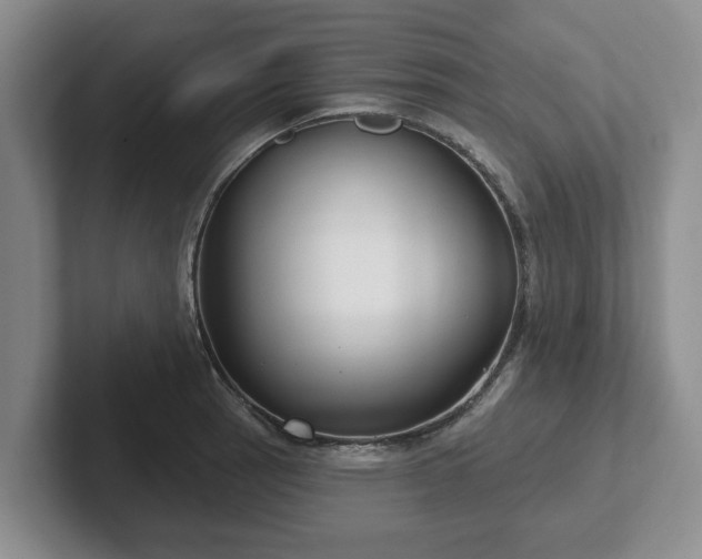 X0000102411137200808081319