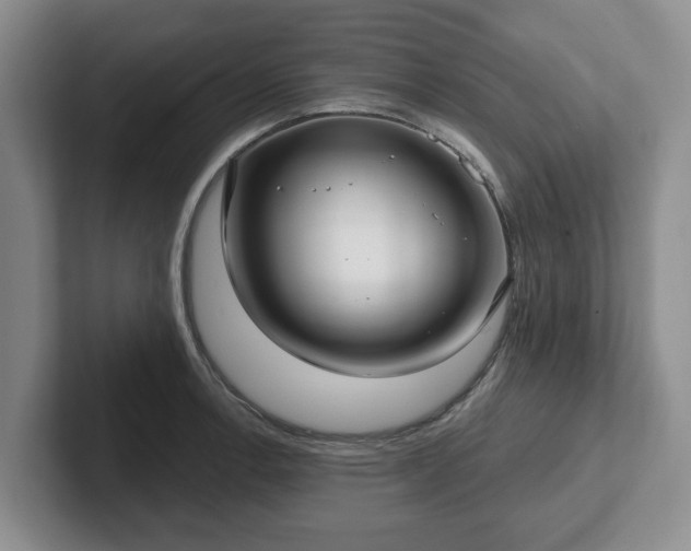 X0000102411138200808081319