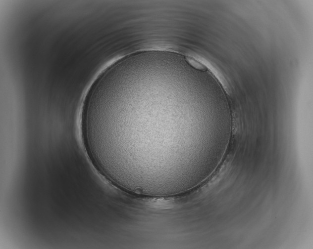 X0000102411139200808081319