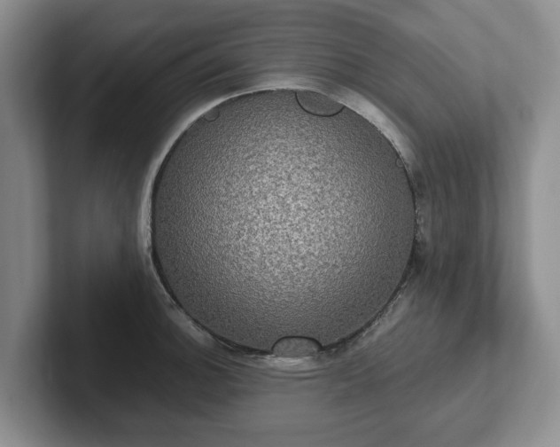 X0000102411140200808081319