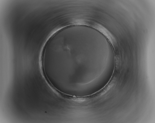 X0000102411141200808081319