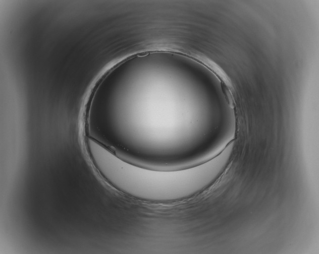 X0000102411144200808081319