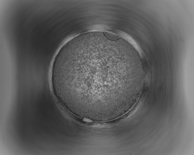 X0000102411146200808081319