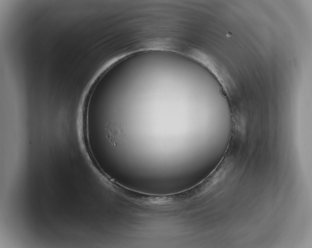 X0000102411147200808081319