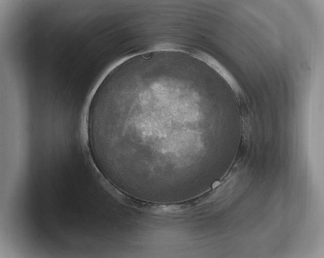 X0000102411148200808081319