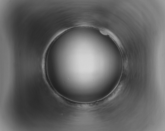 X0000102411149200808081319