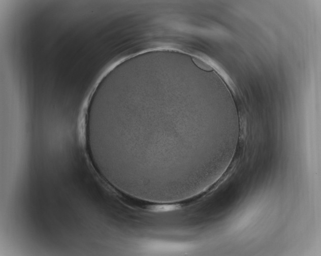 X0000102411151200808081319