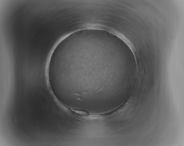 X0000102411152200808081319