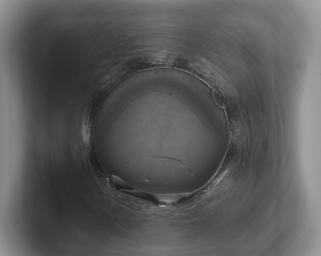 X0000102411154200808081319