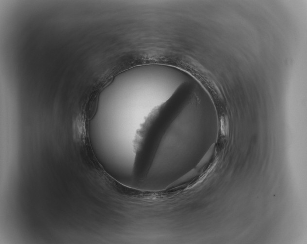 X0000102411155200808081319