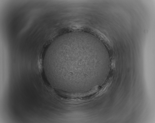 X0000102411156200808081319