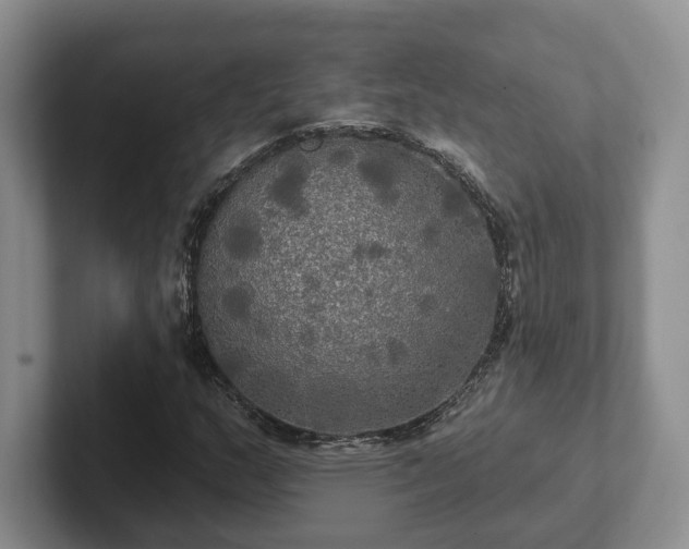 X0000102411159200808081319