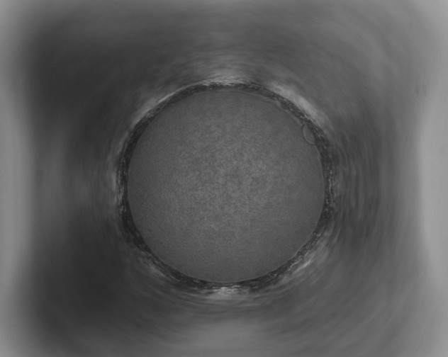 X0000102411160200808081319