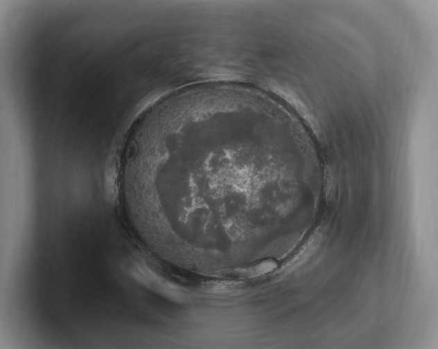 X0000102411163200808081318