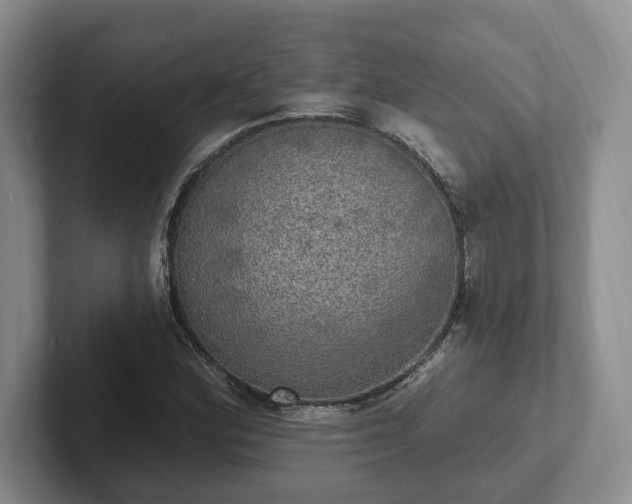 X0000102411164200808081318