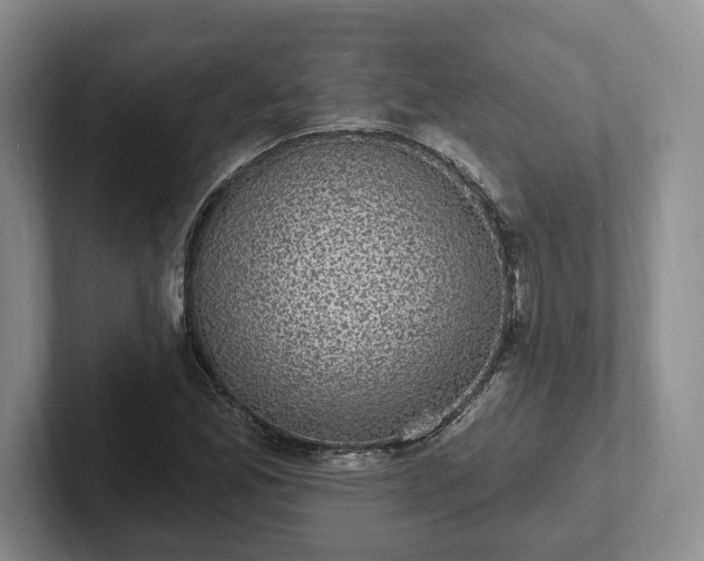 X0000102411165200808081318