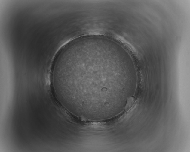 X0000102411166200808081318