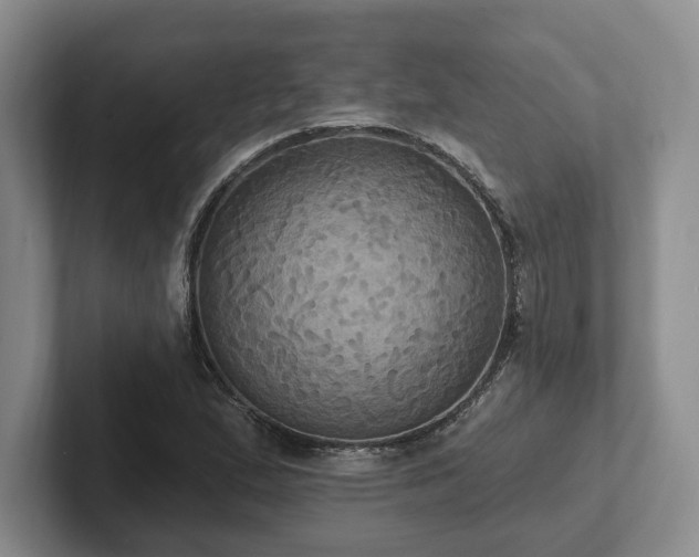 X0000102411167200808081318