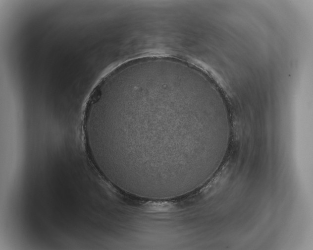 X0000102411168200808081318