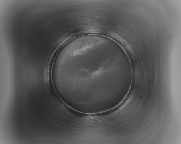 X0000102411170200808081318