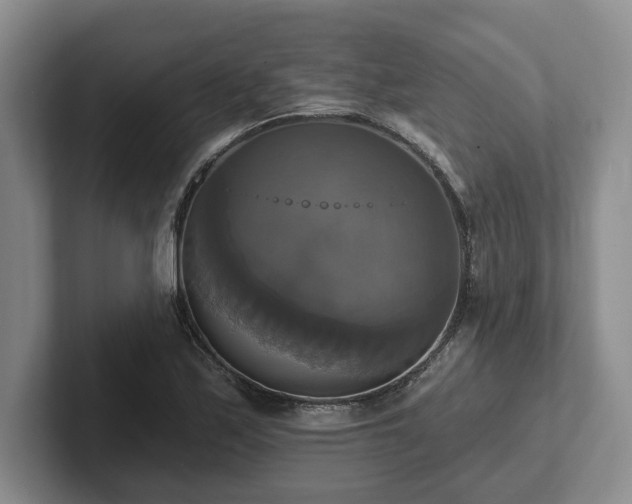 X0000102411171200808081318