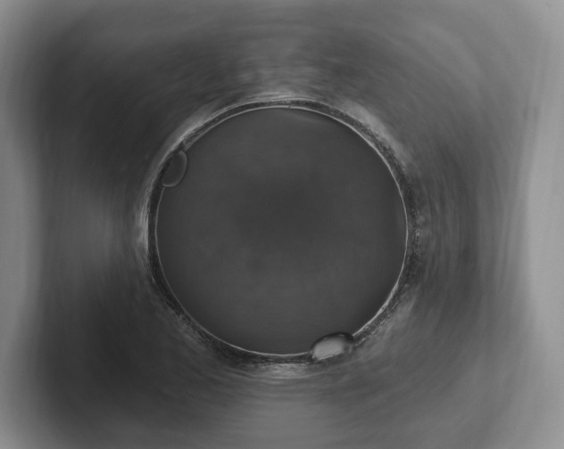 X0000102411173200808081318