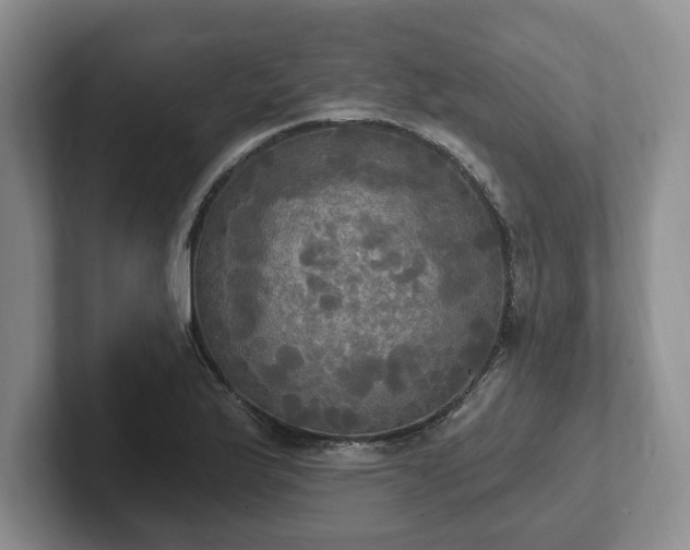 X0000102411175200808081318