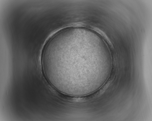 X0000102411176200808081318