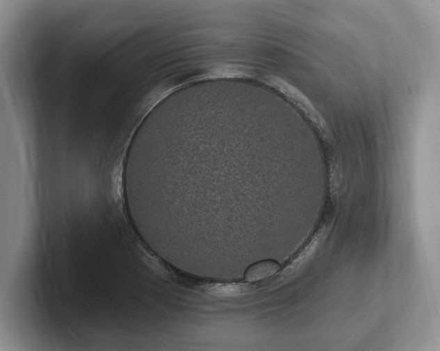 X0000102411177200808081318