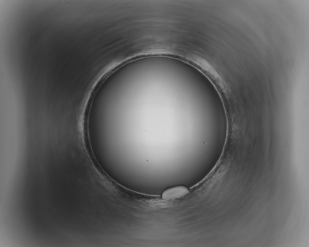 X0000102411181200808081318