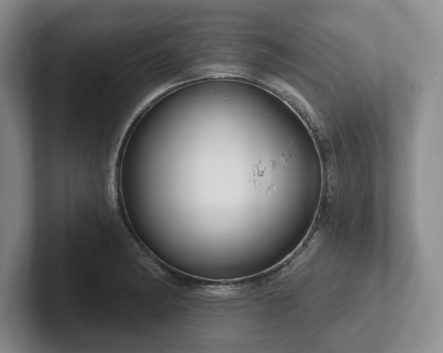 X0000102411182200808081318