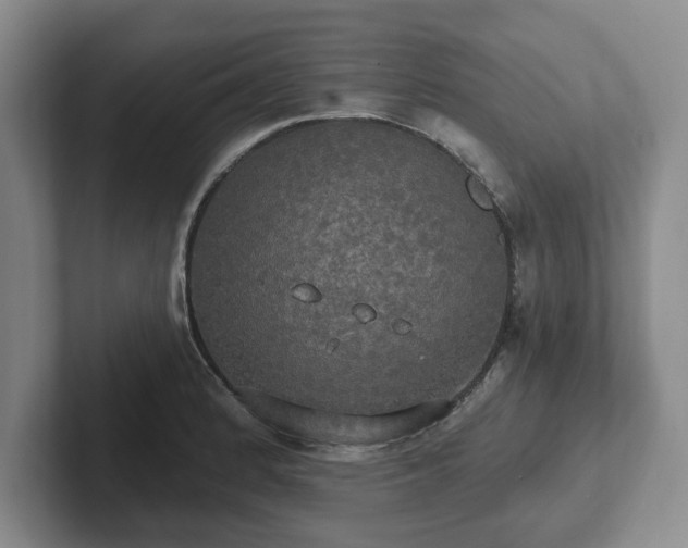 X0000102411184200808081318