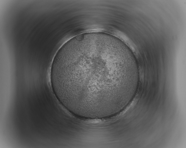 X0000102411186200808081318