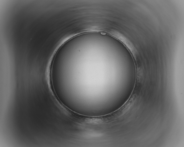 X0000102411187200808081318