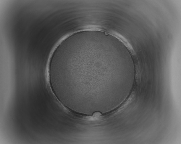 X0000102411188200808081318