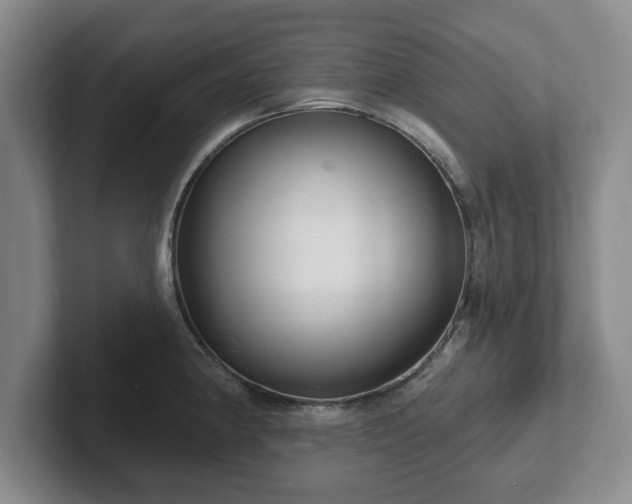 X0000102411190200808081318