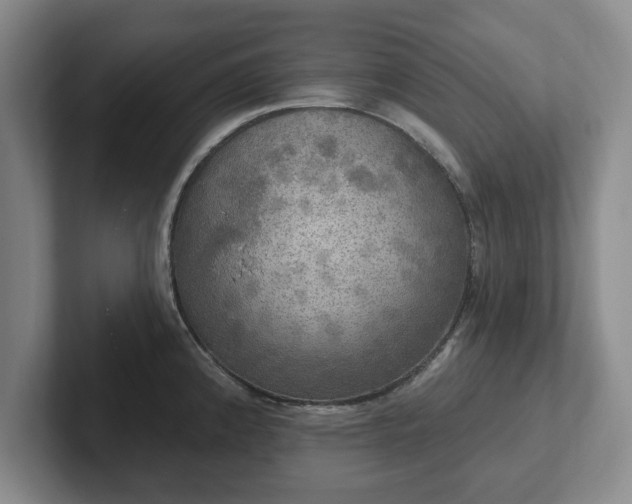 X0000102411192200808081318