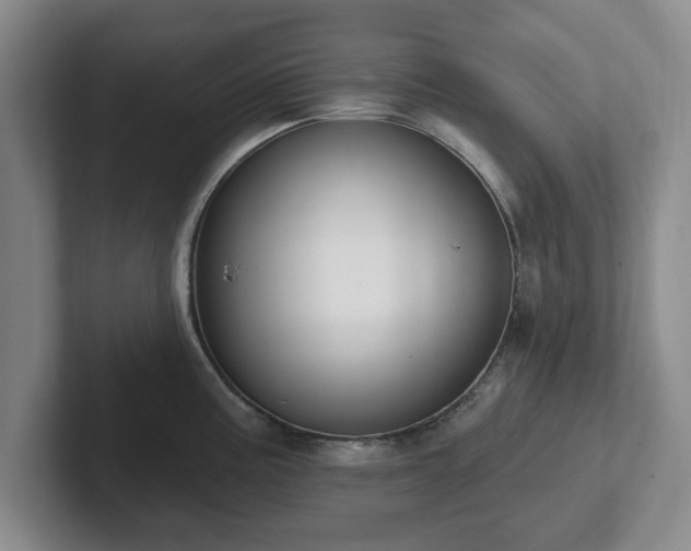 X0000102411195200808081318