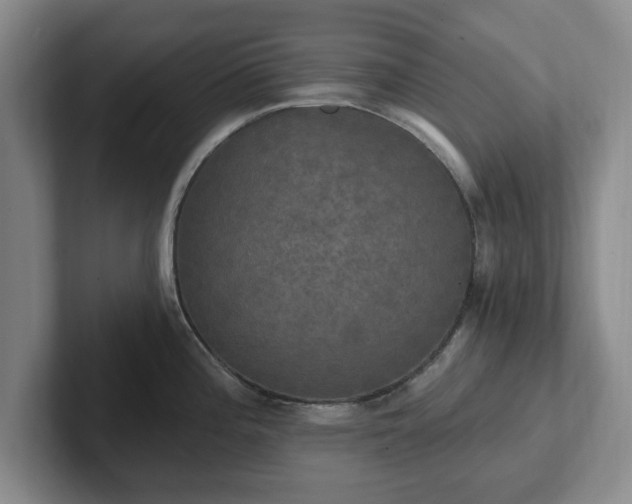 X0000102411196200808081318