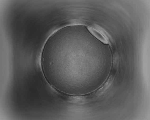 X0000102411197200808081318