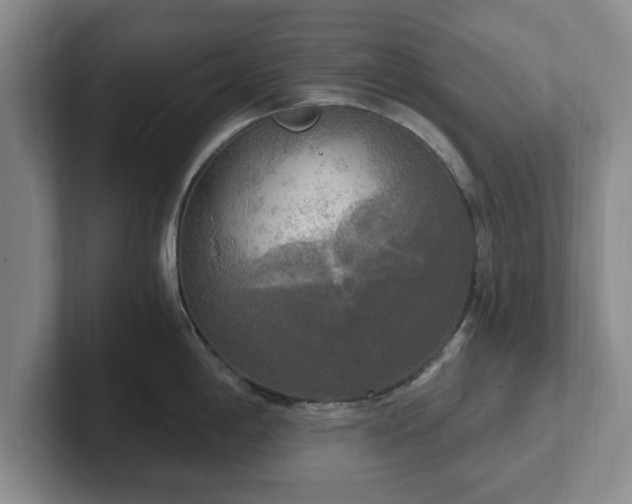 X0000102411198200808081318